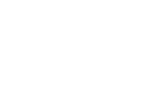 5meta-client-logo-vertrellus